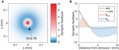 Complex Dynamics of Propagating Waves in a Two-Dimensional Neural Field